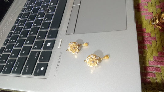 RP Gold Plated Earrings